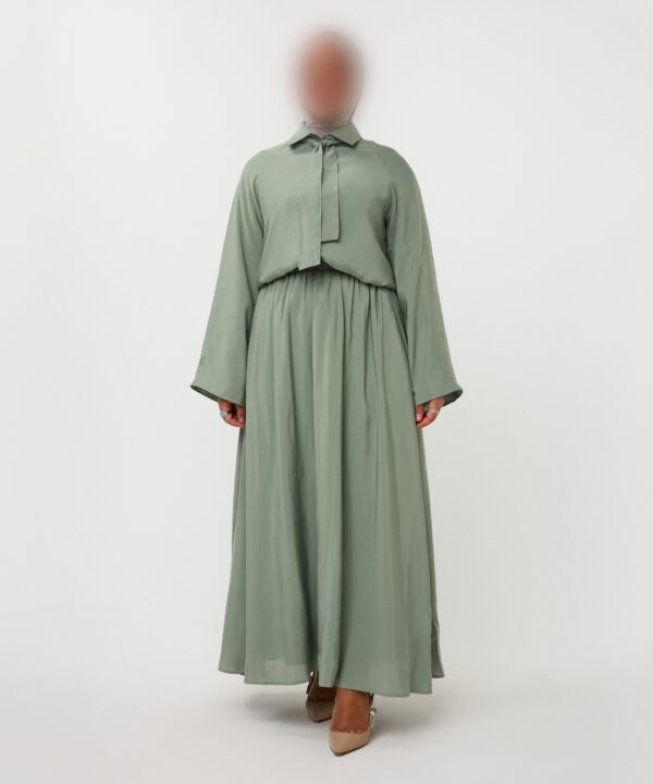 Alternative view of SKIRT SET SAGE