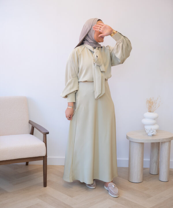 Alternative view of SKIRT SET SAGE